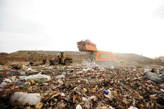 Wysypiska śmieci w Polsce się kurczą. Ale tylko te legalne. Wielkopolska śmieciowym liderem
