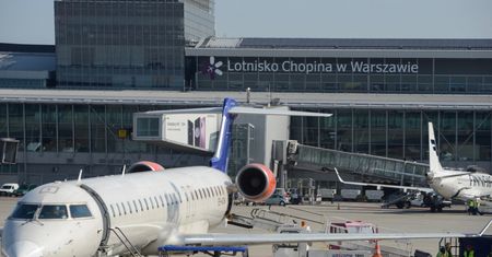 Zaginiony kot na lotnisku wrócił do właścicieli. "Wychudzona, w ogromnej traumie"