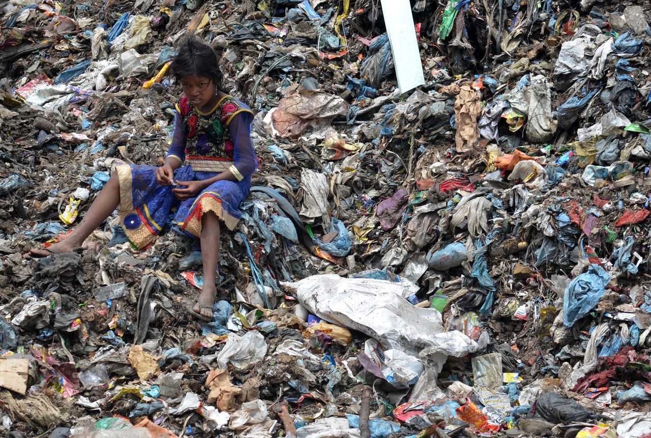 Porażające skutki wpływu człowieka na środowisko
