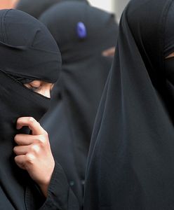 Natalia Osten-Sacken, Jan Wójcik: Niemcy - naród przestraszonych