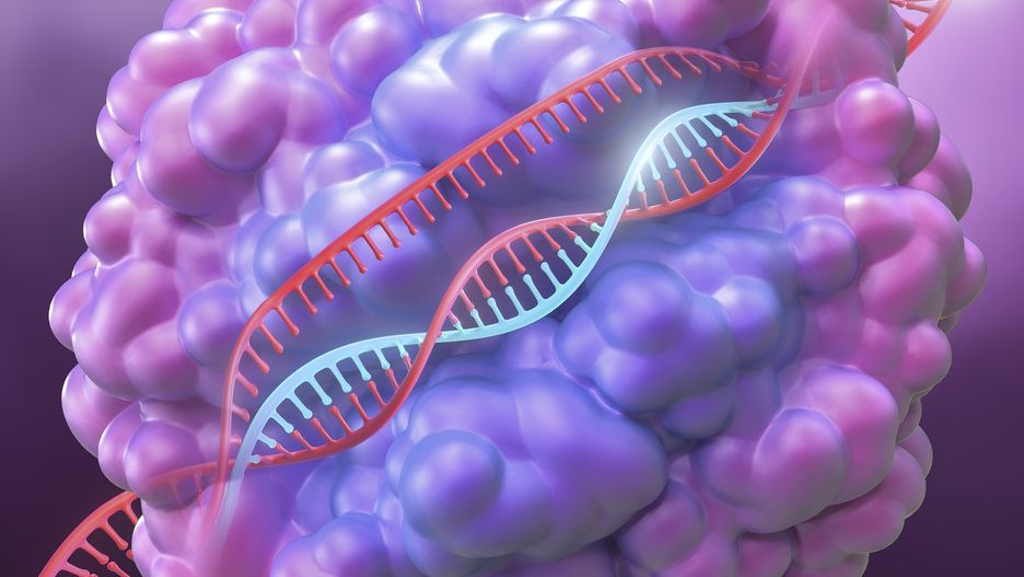 Technologia Crispr/Cas9 staje się coraz bardziej popularna