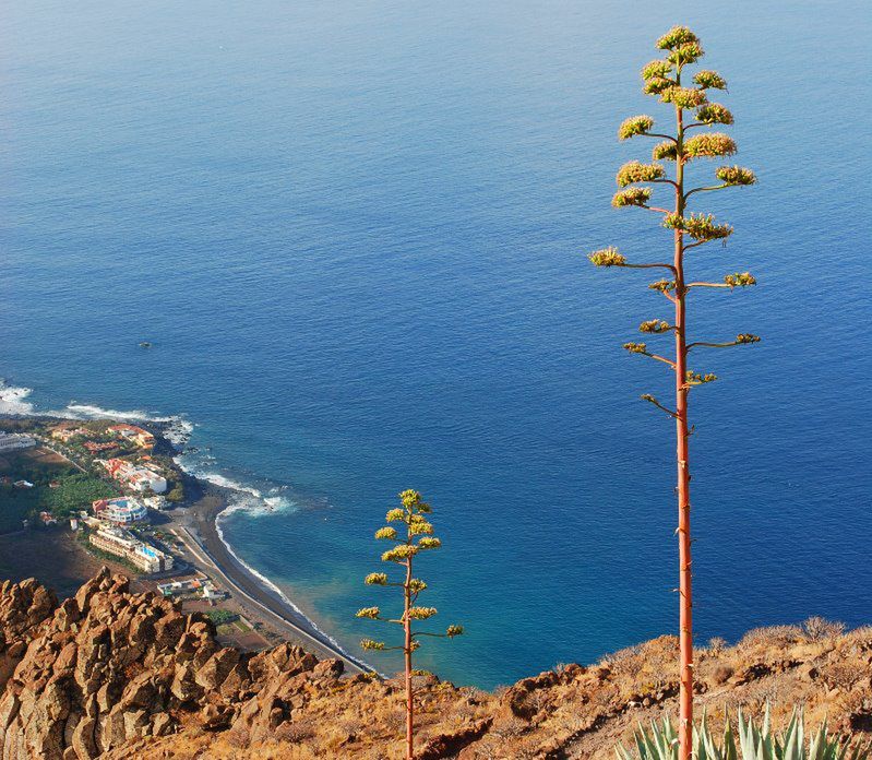 La Gomera - perła Wysp Kanaryjskich