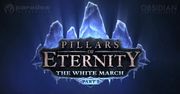 Krótka piłka: pierwsze rozszerzenie do Pillars of Eternity z datą premiery