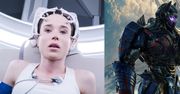 Filmowe kity 2017 roku