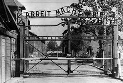 Niemieccy historycy krytykują ustawę o IPN. "Ingerencja w pracę naukowców"