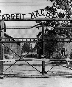 Niemieccy historycy krytykują ustawę o IPN. "Ingerencja w pracę naukowców"