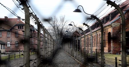 Znów to zrobili. Ambasada w Lizbonie interweniuje ws. artykułu o Auschwitz
