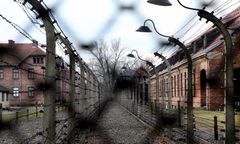 Znów to zrobili. Ambasada w Lizbonie interweniuje ws. artykułu o Auschwitz