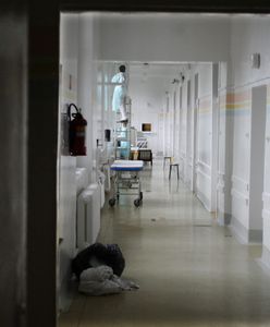 Superbakteria z Indii obecna w Polsce. Jest coraz bardziej niebezpieczna