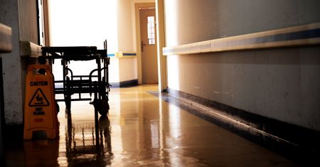 Noworodek został rozszarpany przez psy. Skandaliczna postawa lekarzy