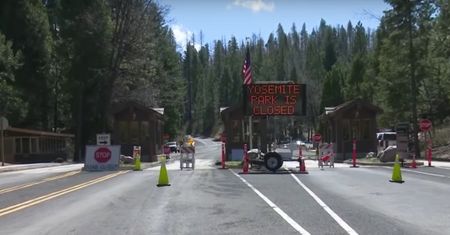 Amerykanie są na kwarantannie. W Parku Narodowym Yosemite widać coraz więcej zwierząt