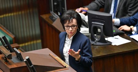 Elżbieta Witek zniesmaczona słowami Nitrasa. "To był atak"