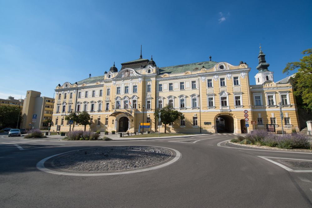 Zebra pędząca ulicami. Uciekła za sprawą pijanych nastolatków