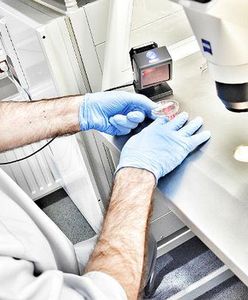 Tragiczna pomyłka przy in vitro. Lekarz został uniewinniony