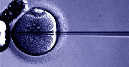 Lekarz i teolog o in vitro: "Rewolucja” o nieobliczalnych skutkach