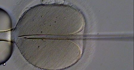 Urodziło się dziecko, które ma troje biologicznych rodziców