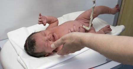 In vitro. Czekając na dziecko