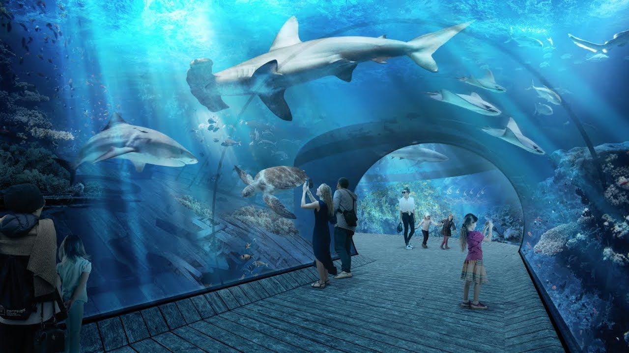 Największe w Europie. Oceanarium Nautilus Gdańsk otworzy się w 2022 roku