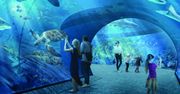 Oceanarium, baseny, hotel i restauracje. Nowy kompleks w Gdańsku ma zmienić oblicze miasta