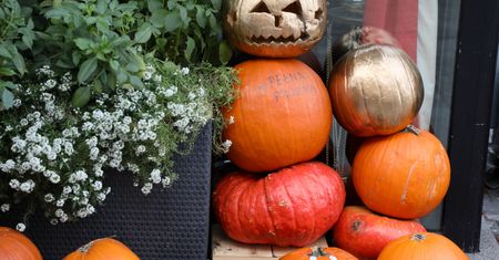 Halloween 2019. Kostium na imprezę halloweenową w Warszawie? Sprawdź, gdzie go wypożyczyć