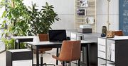 4 powody, dla których warto zadbać o ergonomię w biurze