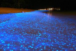 Malediwy - kosmiczna plaża