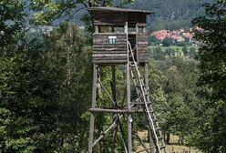 Myśliwi stracili ambony do polowań. Mówią, że to wina ekologów