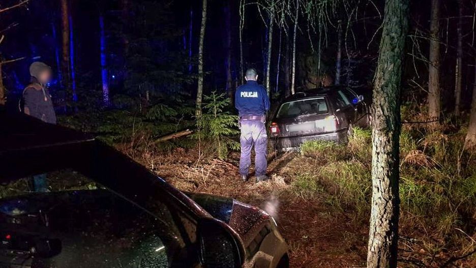 Złodziej zakończył ucieczkę w lesie