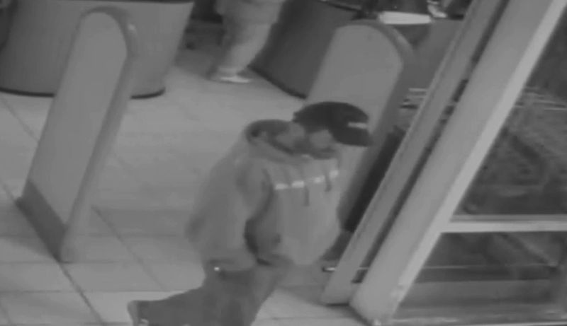 Ukradł psa poważnie choremu chłopcu. Pomóż odnaleźć złodzieja