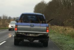 Wstrząsające nagranie. Jedzie, a przed nim auto z martwymi zwierzętami