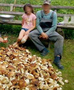 Dla takich grzybiarzy trzeba wprowadzić limity. Rodzina zebrała 100 kg prawdziwków
