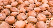 Umeboshi – marynowane śliwki korzystne dla zdrowia