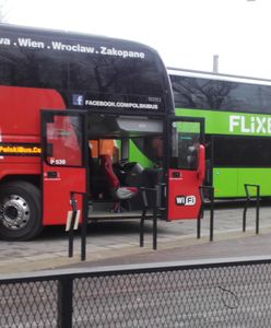 Autokarem po całej Europie. Nowy przewoźnik rozbuduje siatkę połączeń międzynarodowych Polskiego Busa
