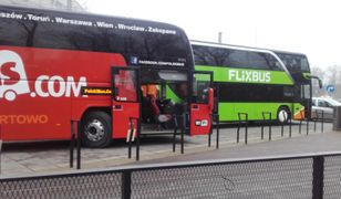 Autokarem po całej Europie. Nowy przewoźnik rozbuduje siatkę połączeń międzynarodowych Polskiego Busa