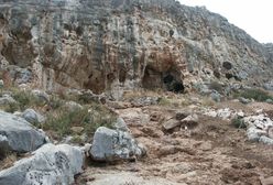 Przełomowe odkrycie archeologów. Człowiek wyszedł z Afryki znacznie wcześniej, niż myśleliśmy