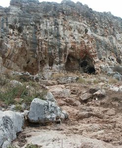 Przełomowe odkrycie archeologów. Człowiek wyszedł z Afryki znacznie wcześniej, niż myśleliśmy