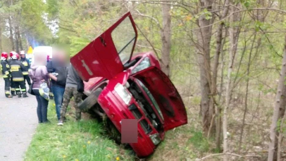 Kierowca wjechał do rowu po tym, jak na jego busa spadło drzewo