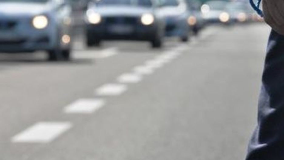 policja,kontrola,lizak