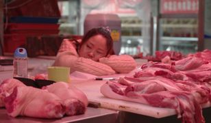 Stefano Liberti: Każdy powinien wiedzieć, skąd pochodzi jego jedzenie