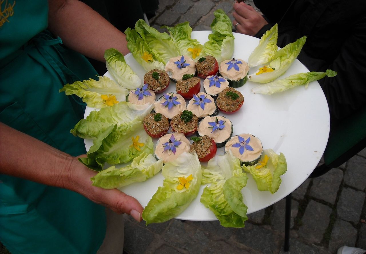 Jak wyglądałby świat, gdybyśmy przestali jeść mięso?