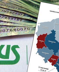 Najwięcej emerytalnych bogaczy jest na Śląsku. Oto mapa emerytów rekordzistów