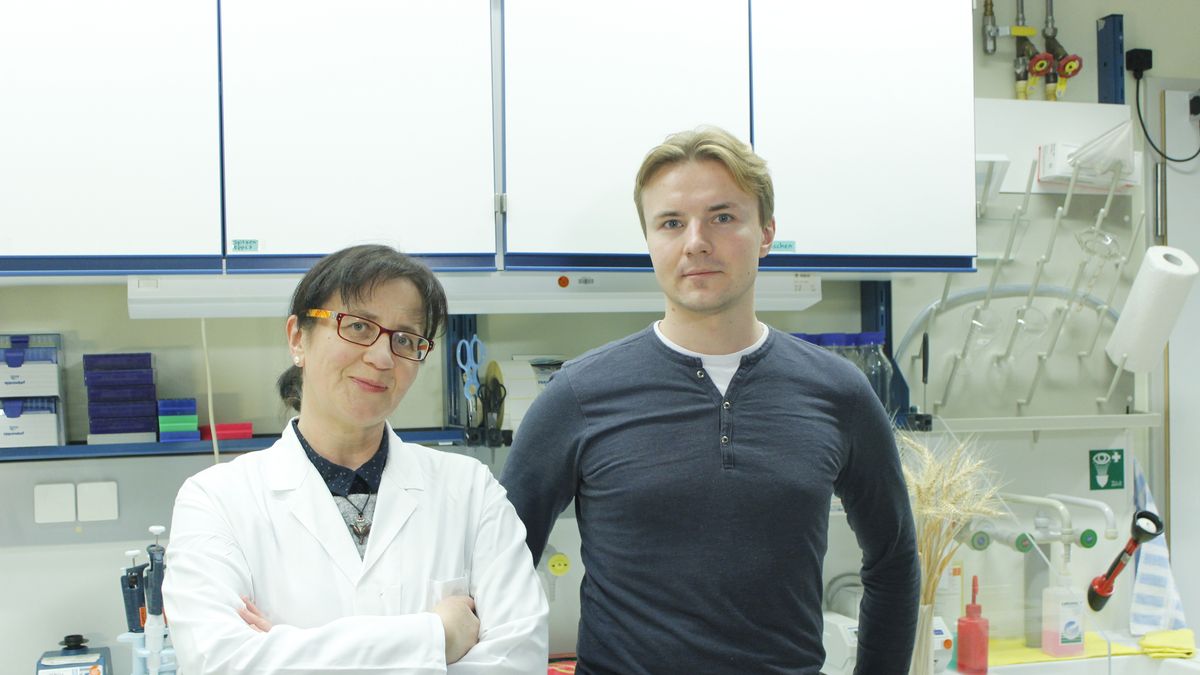 Ukraiński startup DeepTrait został założony przez Sergija Szelpuka oraz Rusłanę Radczuk