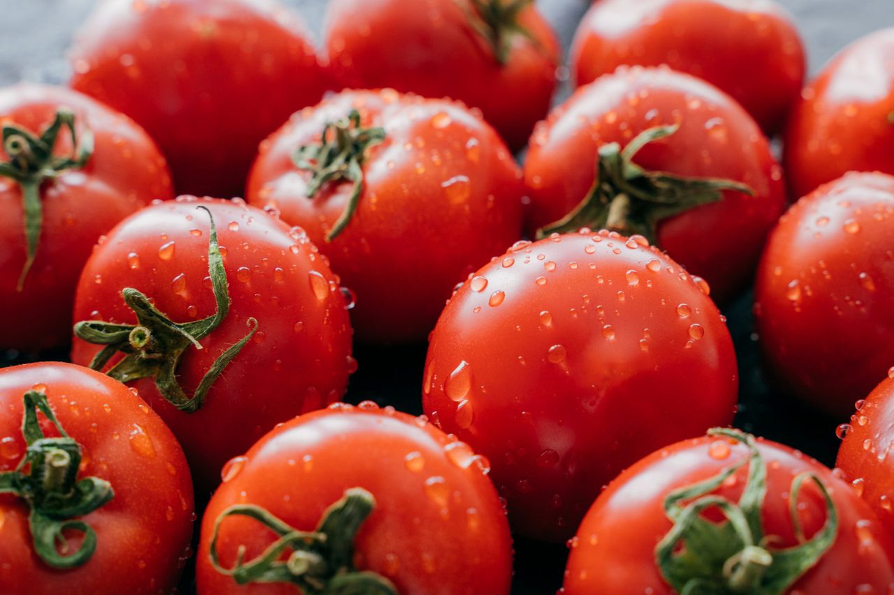 Co zrobić żeby pomidory smakowały lepiej, fot. freepik