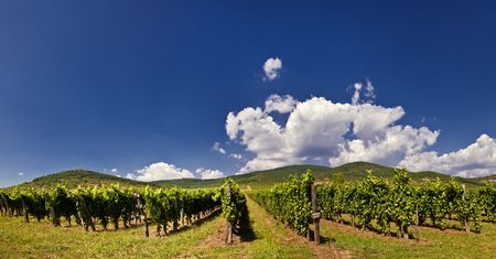 Tokaj - najpiękniejsze miasteczko w Europie