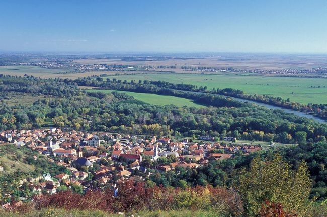 Obraz