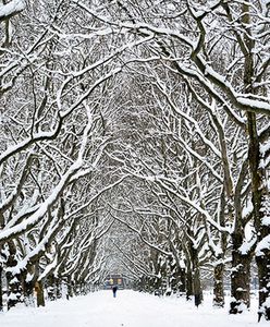Kolejne ofiary mrozów w Polsce