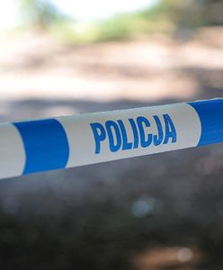 Policja znalazła zwłoki dziecka na Wyspie Puckiej