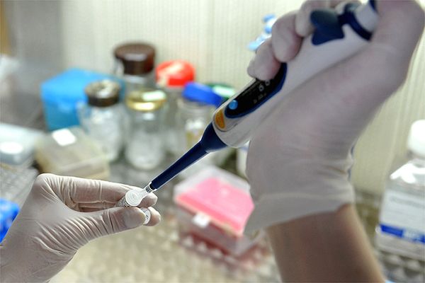 Naukowcy wyhodowali w laboratorium groźnego wirusa grypy