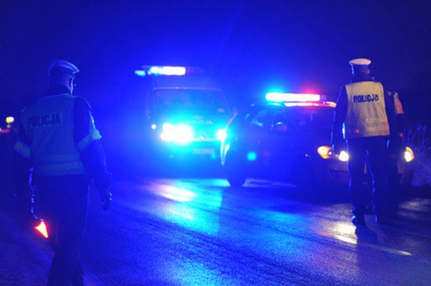 Nocny wypadek w Turowie pod Pniewami - zginął kierowca