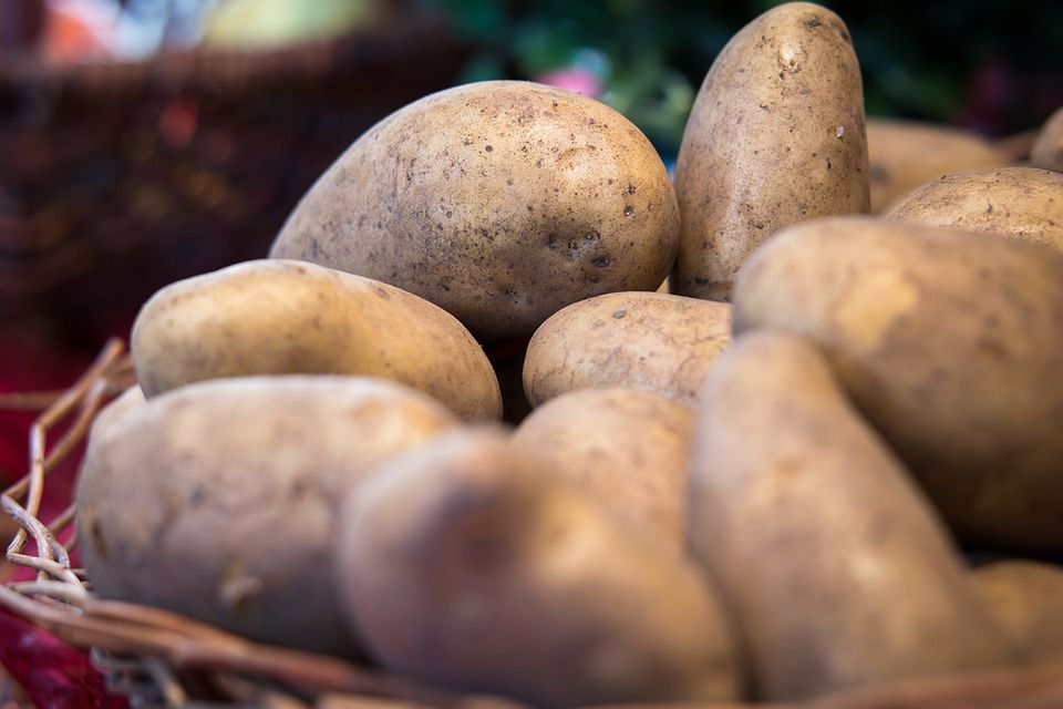 Nieugotowane zazwyczaj robią się czarne w zamrażarce i najlepiej przechowywać je w ciemnym lub chłodnym miejscu. Ale za to możesz zamrozić ziemniaczane puree od 4 do 6 miesięcy.